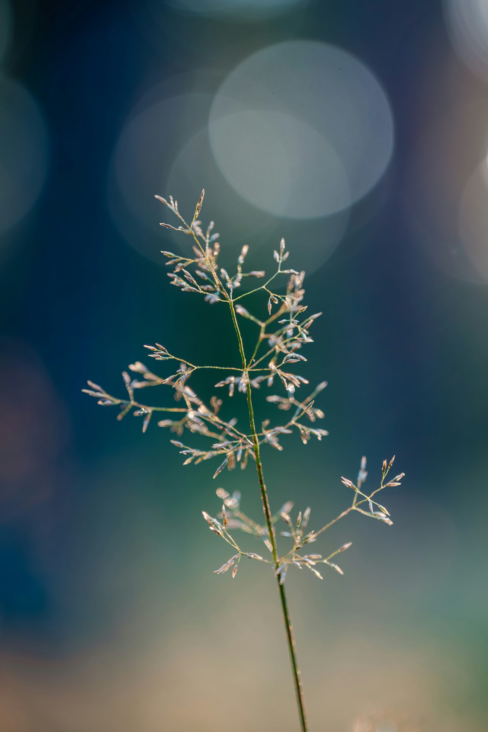 pascal-bullan-qaz0falr2y4-unsplash